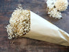 Bouquet éternelle - gypsophile séchée