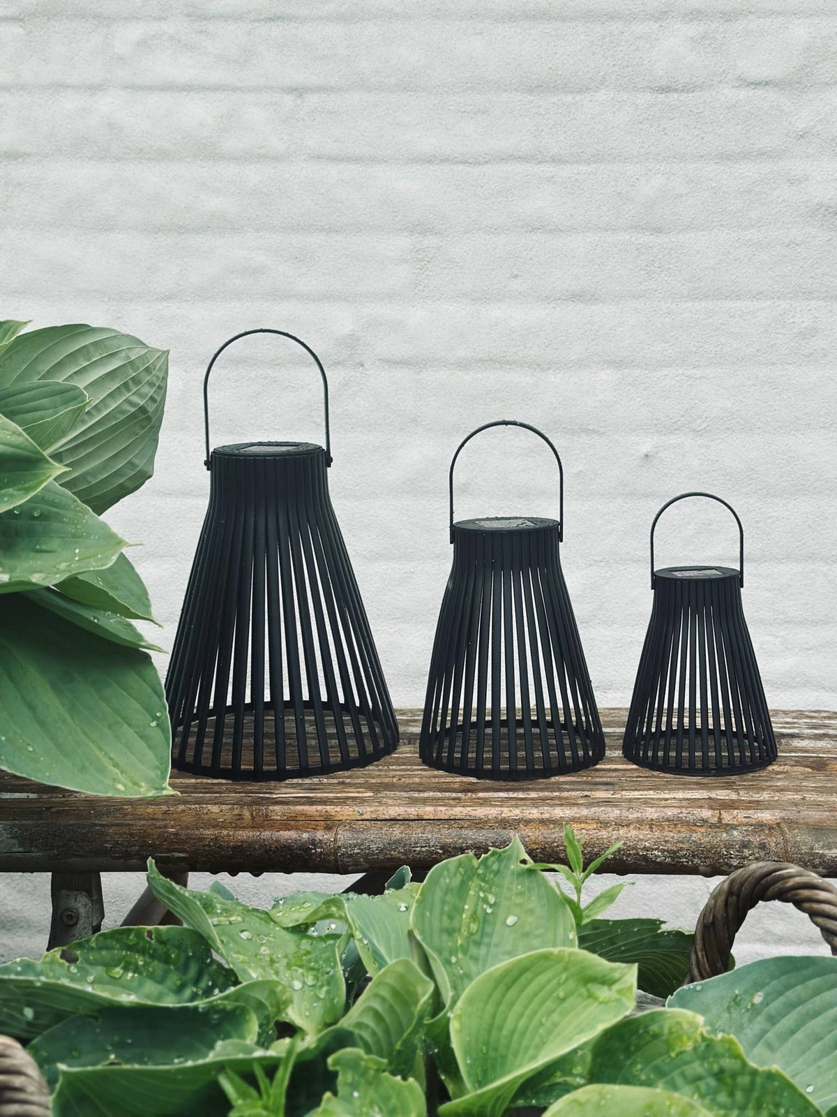 Lanterne avec cellules solaires - GARDEN BLACK 14cm