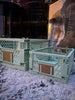 Caisse pliable avec étiquette – Petite – MINT GREEN