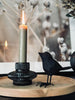 Oiseau Noir