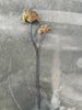 Branche avec 2 fleurs