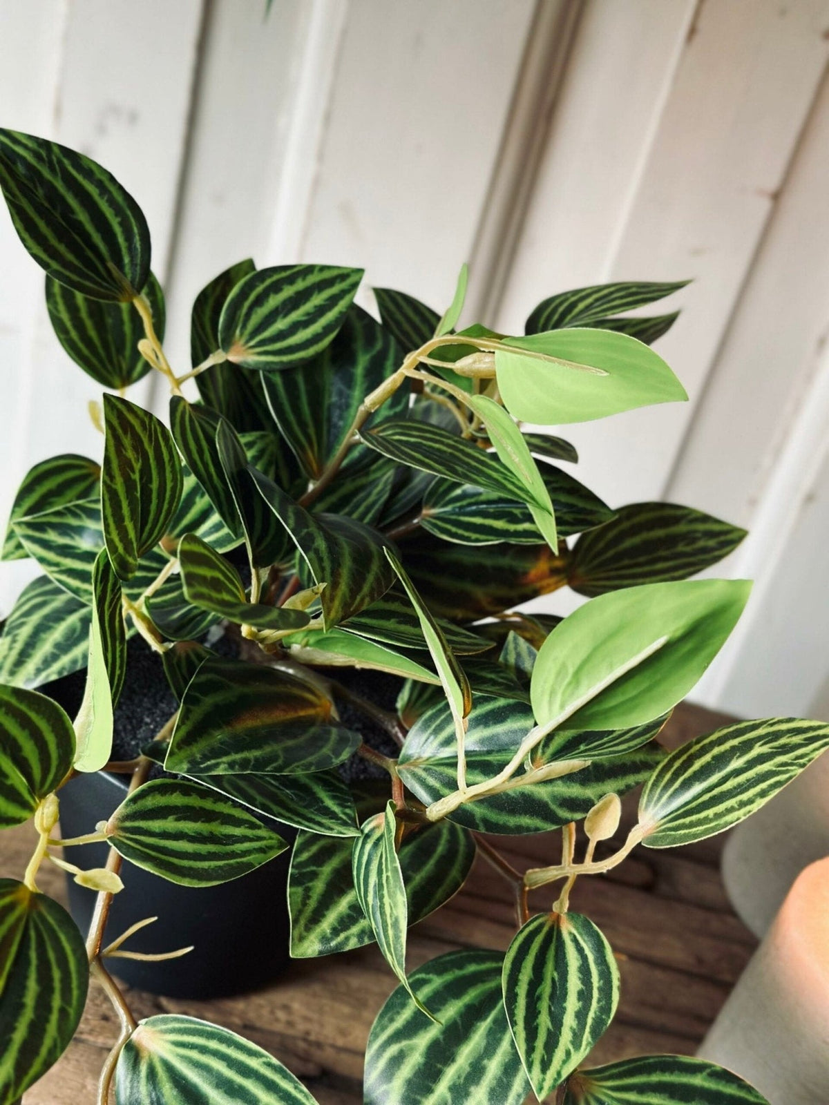 Hængeplante – Green No.1 - VIAMAJA.DK
