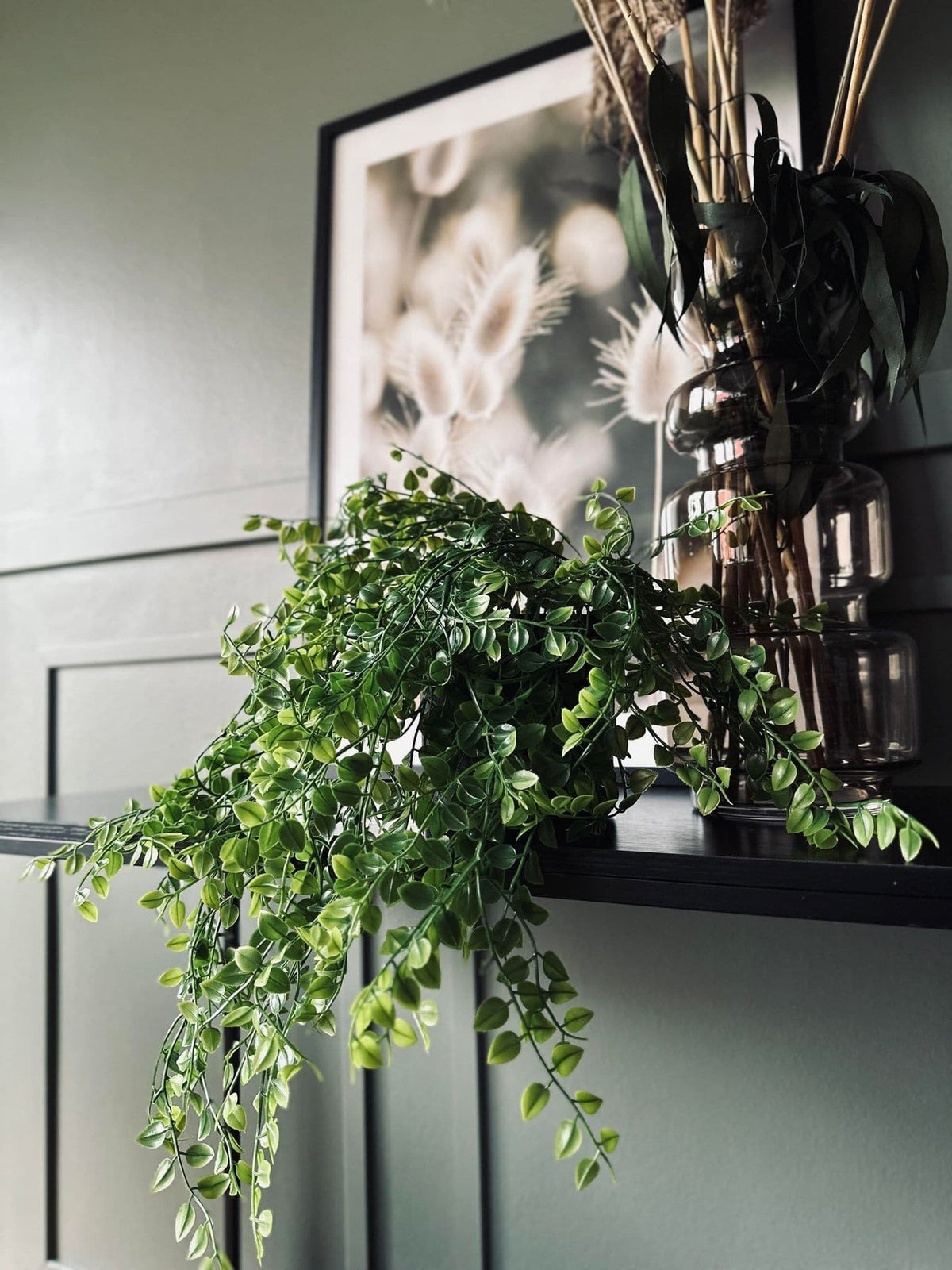 Plante retombante décorative - Verte