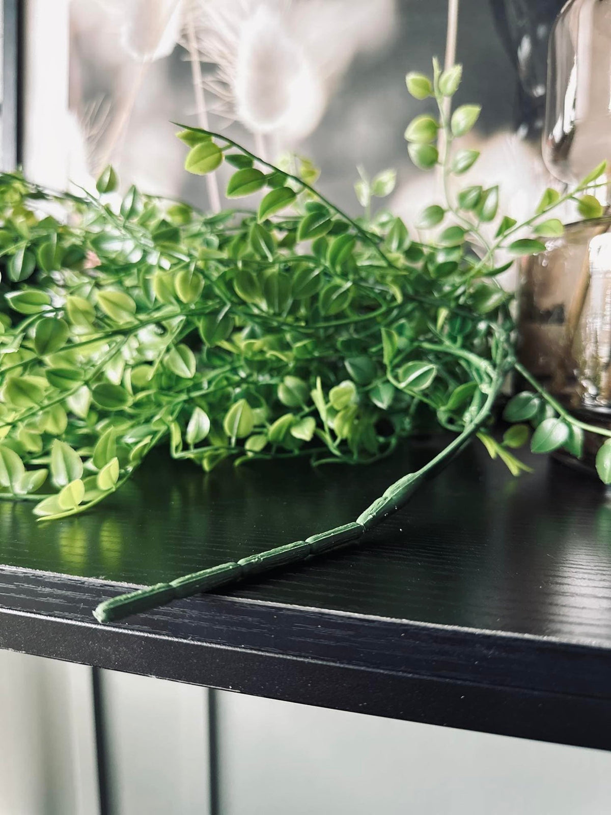 Plante retombante décorative - Verte