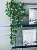 Plante retombante sur tige - FLOWER 3