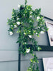 Plante retombante sur tige - FLOWER 4