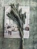 Millet Grey