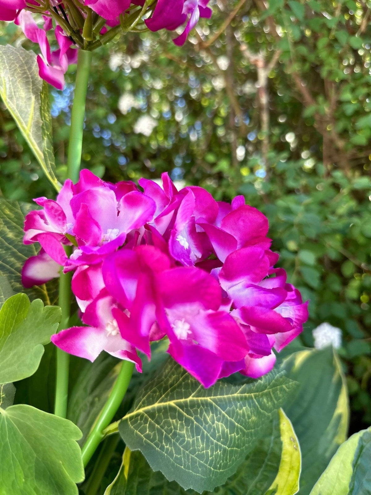 Hortensia med solceller – Pink - VIAMAJA.DK