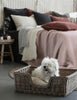 Panier pour chien en osier naturel - Petit