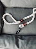 Laisse pour chien - Max 25kg