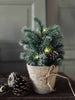 Sapin de Noël en pot avec neige - Guirlande lumineuse Ink