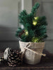 Sapin de Noël en pot sans neige – guirlande lumineuse incluse