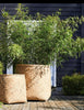 Vase de Jardin Géant Nature / ciment H80cm