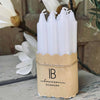 Lot de 10 bougies flambeaux blanches