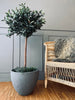 Cache-pot en plastique - LYS STONE - Intérieur et extérieur