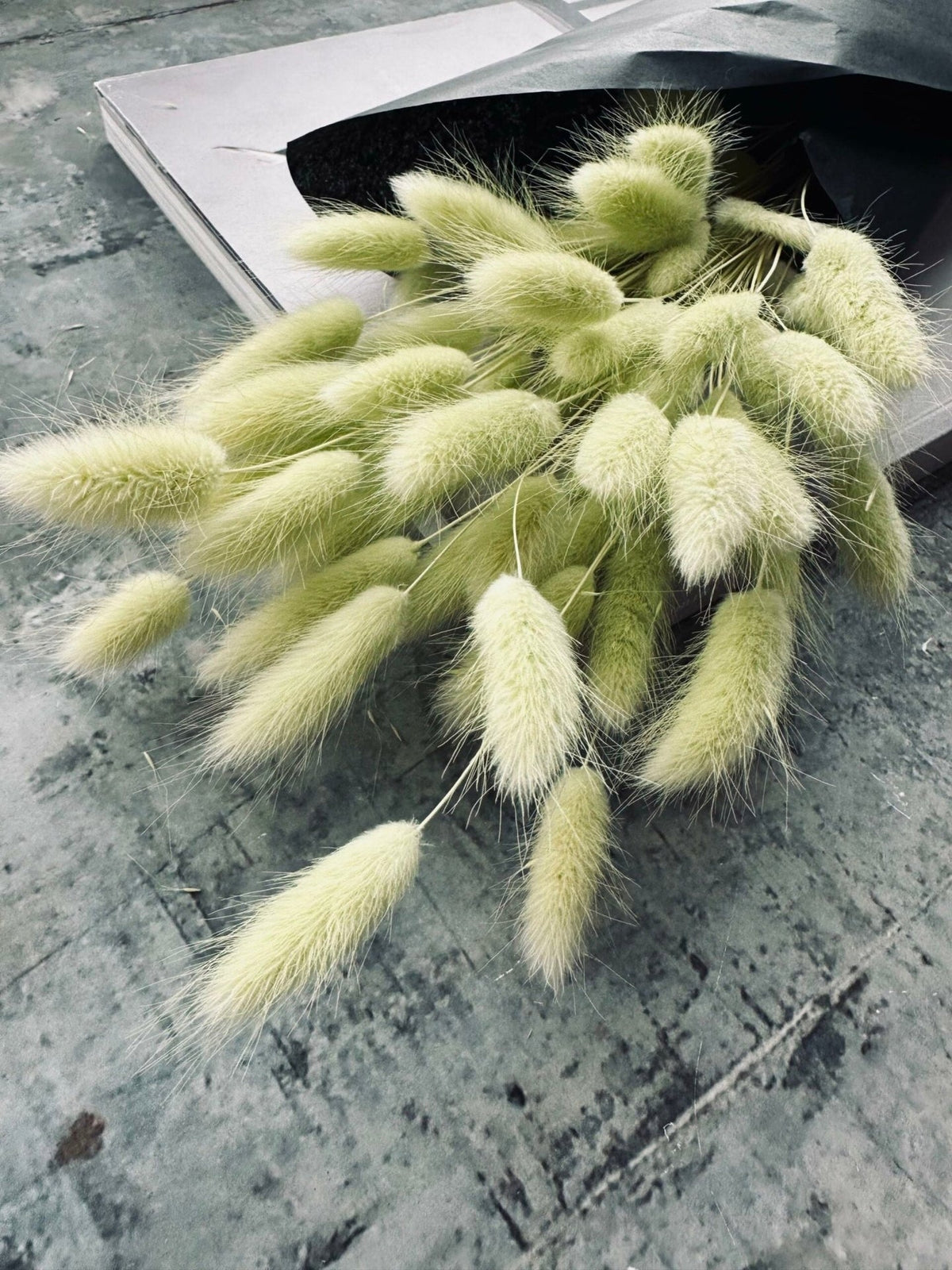 Lagurus – Lime - VIAMAJA.DK