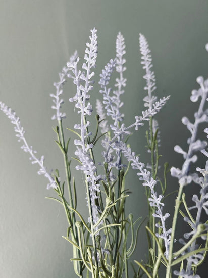 Lavendel i naturpotte - Lys lilla - VIAMAJA.DK