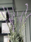 Lavendel mix - H 46cm - VIAMAJA.DK