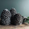 Pommes de pin LED en 3 tailles - avec télécommande