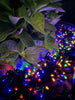 Guirlande lumineuse à énergie solaire - Lumière colorée