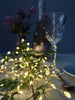 Guirlande lumineuse en fil argenté avec 40 LED