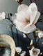 Magnoliatræ i pot - 160cm - VIAMAJA.DK