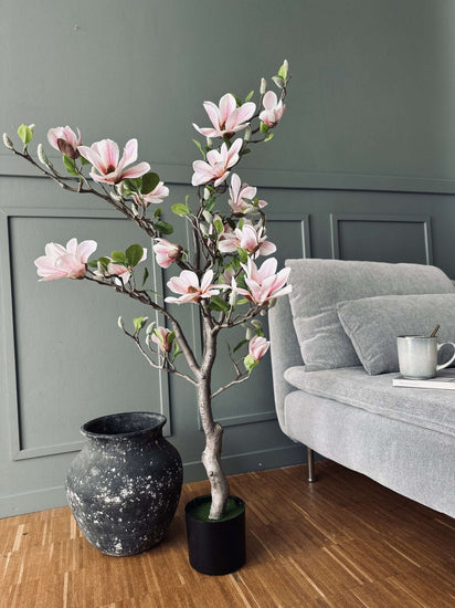 Magnoliatræ i potte - 120 cm Rosa - VIAMAJA.DK