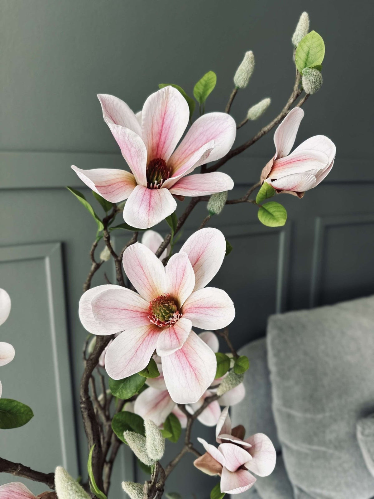 Magnoliatræ i potte - 120 cm Rosa - VIAMAJA.DK