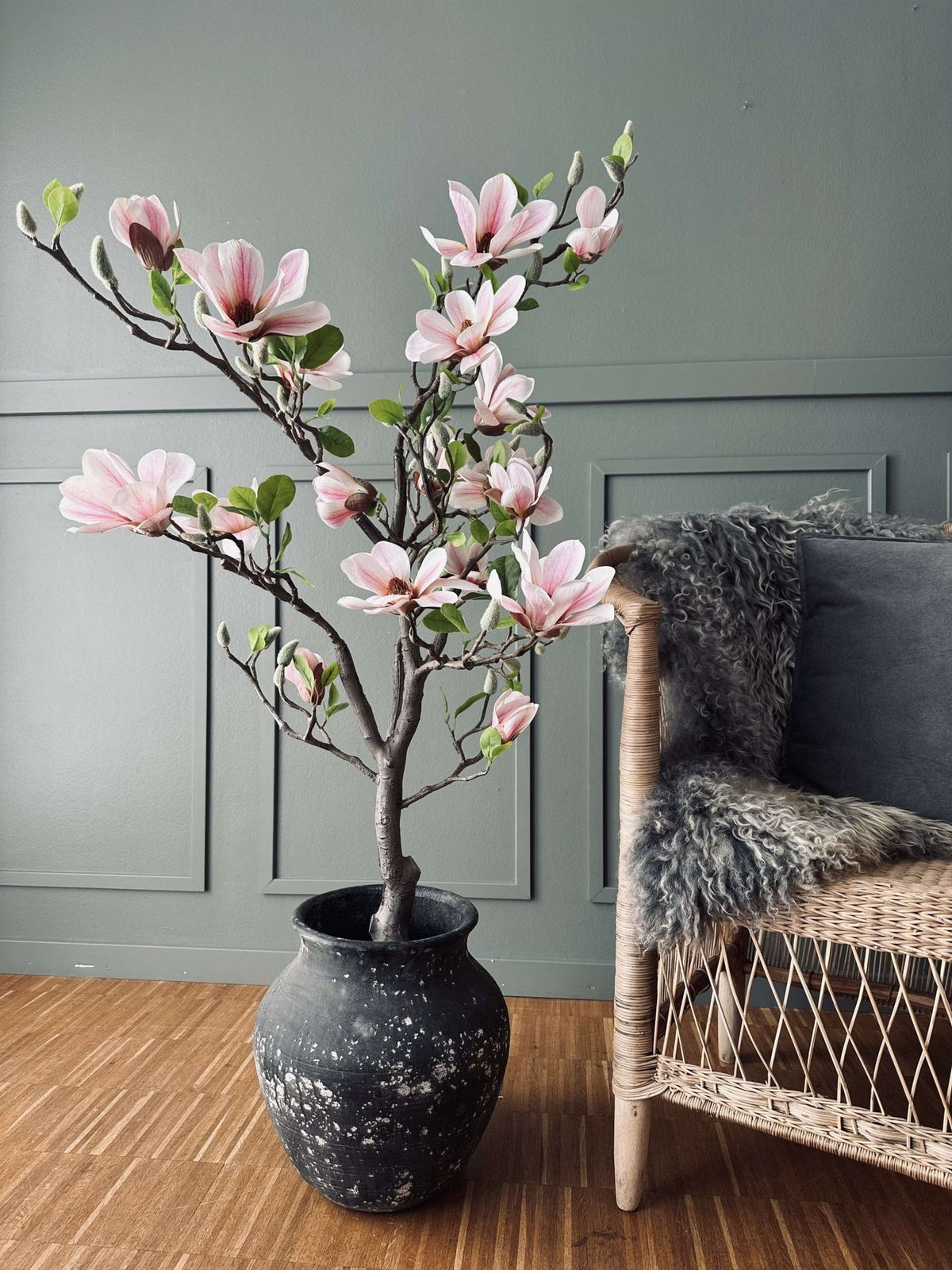 Magnoliatræ i potte - 120 cm Rosa - VIAMAJA.DK