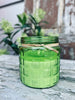 Myggelys – Citronnelle Verte