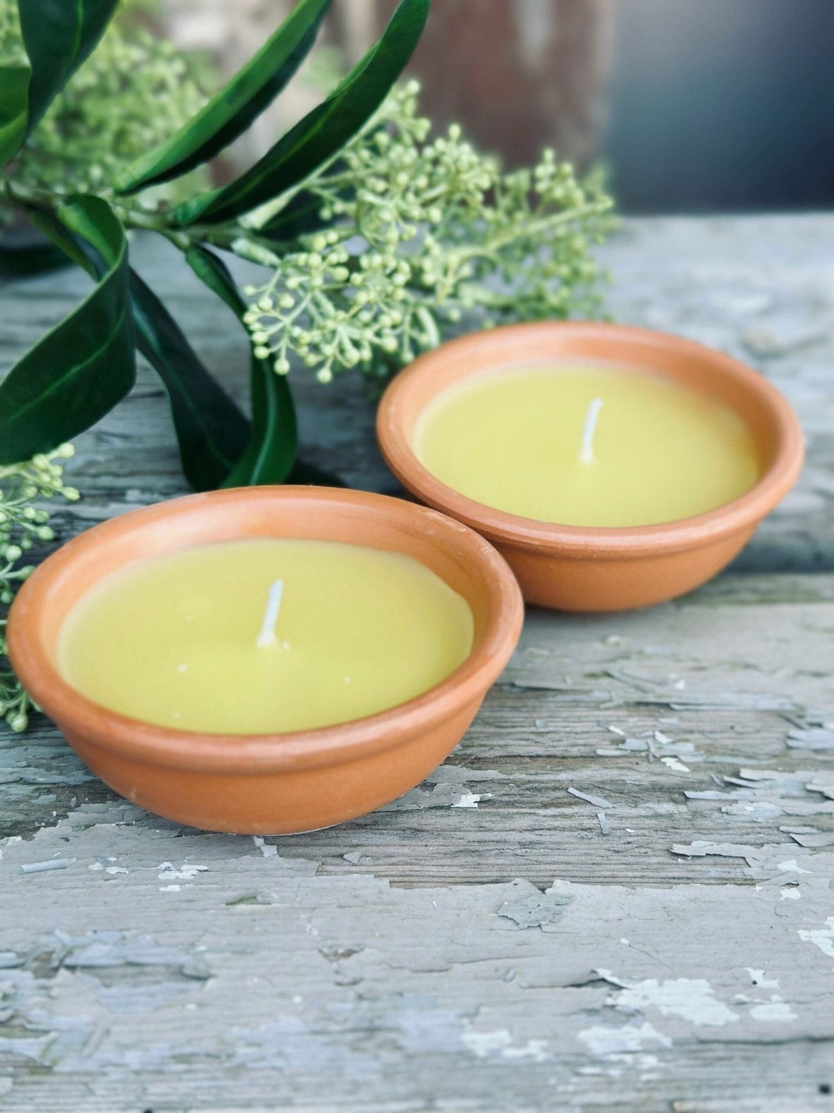 Myggelys – Citronella Sæt med 2 stk - VIAMAJA.DK