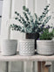 Myggelys i cement potte - Citronella mix - VIAMAJA.DK