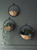 Suspension avec panier à plantes - Moyen