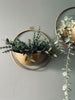 Panier plante Aja Laiton – Lot de 2 pièces