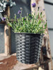 Panier à plantes avec fixation de suspension