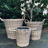 Panier pour plantes avec seau - Petit