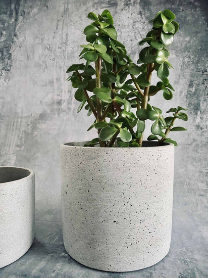 Potte i lysgrå beton NORDIC – Stor - VIAMAJA.DK