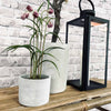 Pot en béton gris clair NORDIC – Grand pot