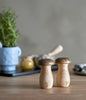 Set sel & poivre