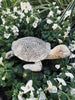Tortue – Décoration de jardin
