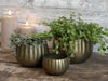Cache-pot en laiton avec rainures, lot de 3