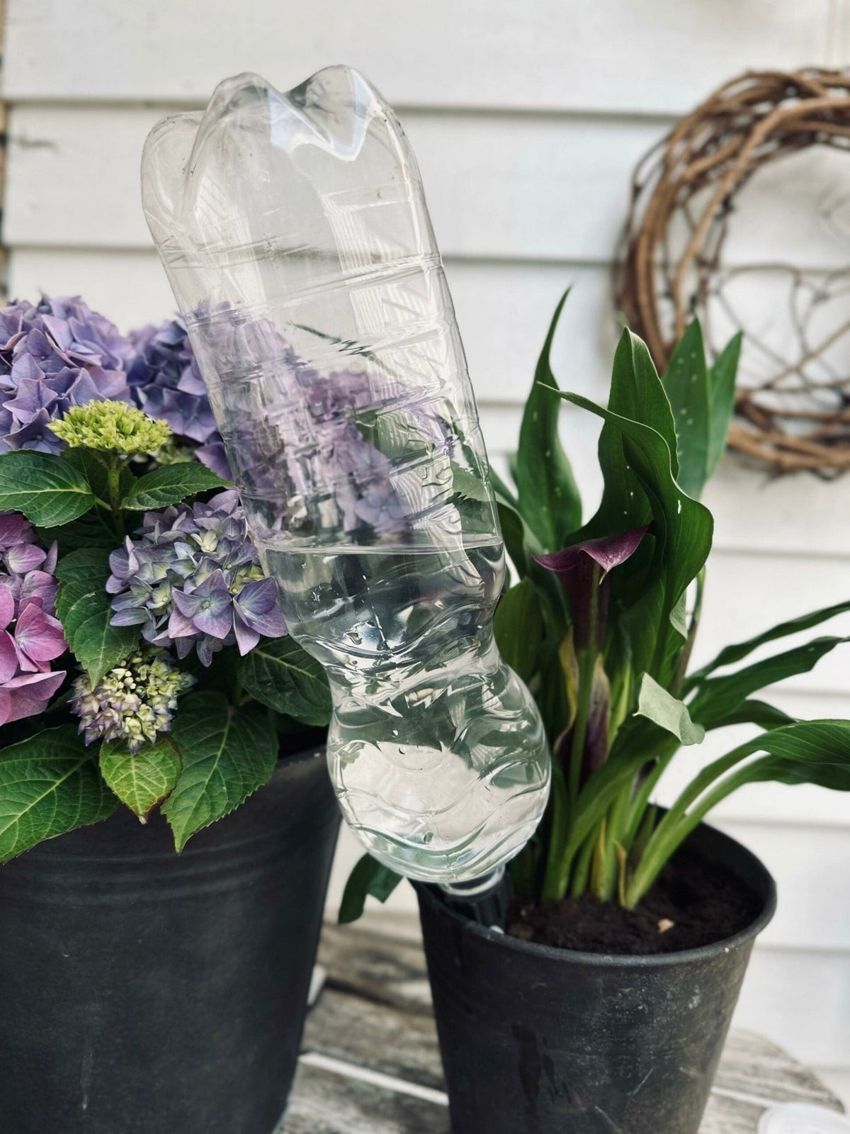 Spyd til vanding af blomster – Sæt af 4 stk - VIAMAJA.DK