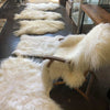 Offre de grandes peaux blanches de second choix - 120-130 cm !