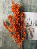 Fleurs séchées – Orange