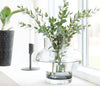 Vase, Forms Low, Verre fumé