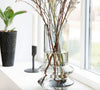 Vase, Forms, verre fumé