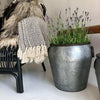 Seaux en zinc pour fleurs ou rangement - Grand